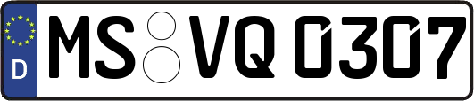 MS-VQ0307