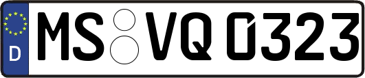 MS-VQ0323