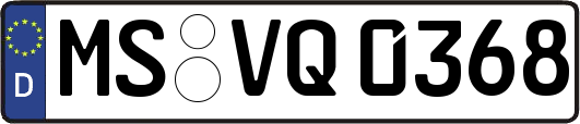 MS-VQ0368