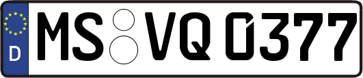 MS-VQ0377
