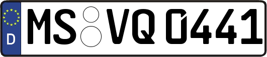 MS-VQ0441