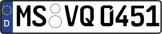 MS-VQ0451