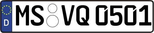 MS-VQ0501
