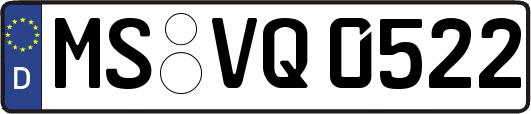 MS-VQ0522