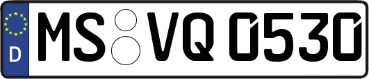 MS-VQ0530