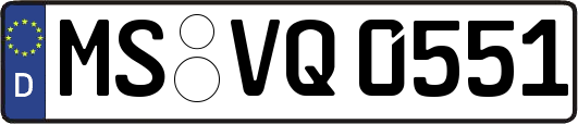 MS-VQ0551