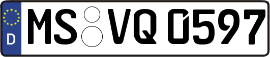 MS-VQ0597