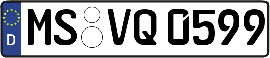 MS-VQ0599