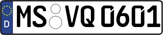 MS-VQ0601