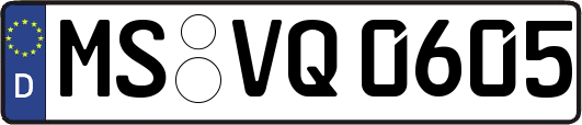 MS-VQ0605