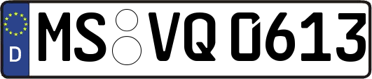 MS-VQ0613