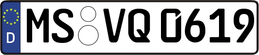 MS-VQ0619