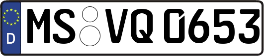MS-VQ0653