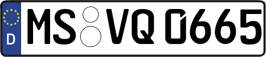 MS-VQ0665
