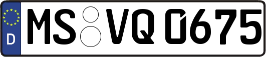 MS-VQ0675