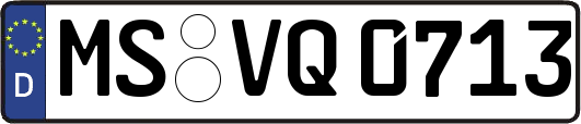 MS-VQ0713