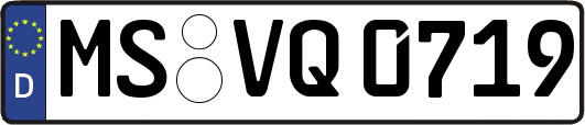 MS-VQ0719
