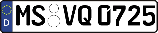 MS-VQ0725