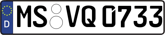 MS-VQ0733