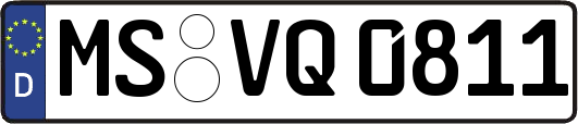 MS-VQ0811
