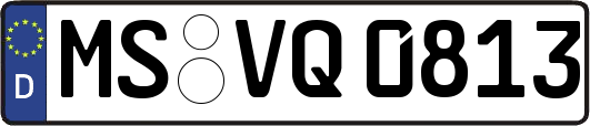MS-VQ0813