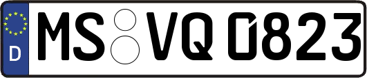 MS-VQ0823