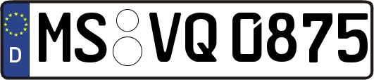 MS-VQ0875
