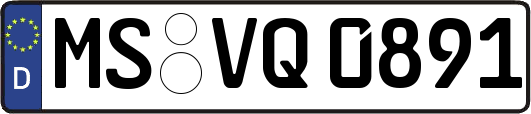 MS-VQ0891