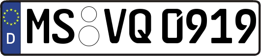 MS-VQ0919