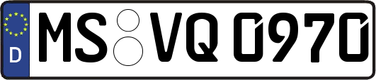 MS-VQ0970