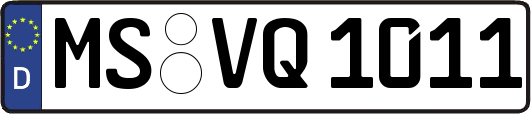 MS-VQ1011