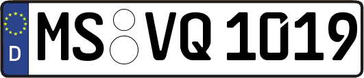 MS-VQ1019