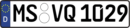 MS-VQ1029