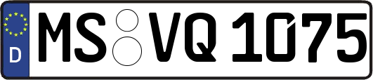 MS-VQ1075