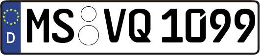 MS-VQ1099