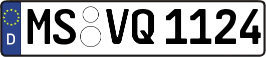 MS-VQ1124