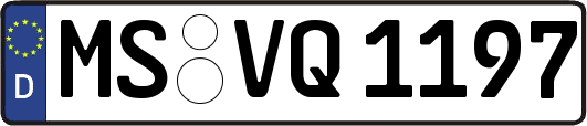 MS-VQ1197
