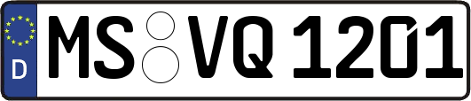 MS-VQ1201
