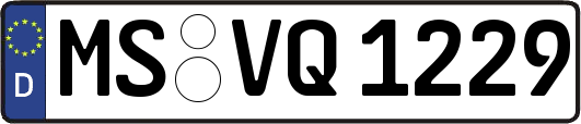 MS-VQ1229