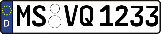 MS-VQ1233