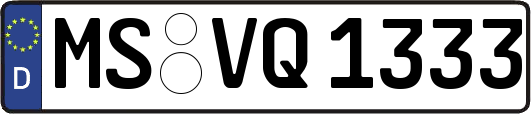 MS-VQ1333