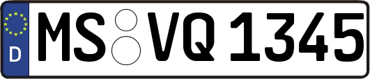 MS-VQ1345