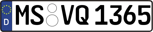 MS-VQ1365