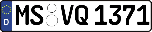 MS-VQ1371