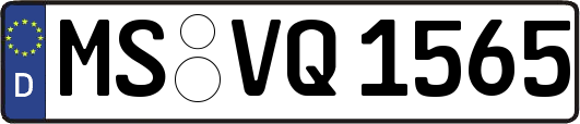 MS-VQ1565