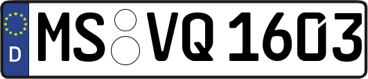 MS-VQ1603