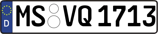 MS-VQ1713