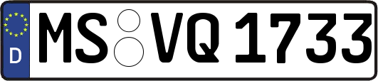 MS-VQ1733