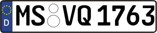 MS-VQ1763