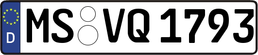 MS-VQ1793
